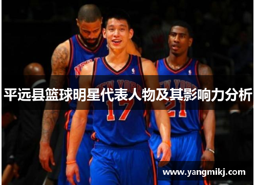 平远县篮球明星代表人物及其影响力分析